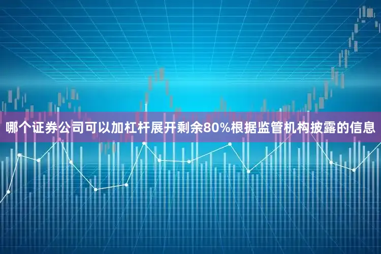 哪个证券公司可以加杠杆展开剩余80%根据监管机构披露的信息