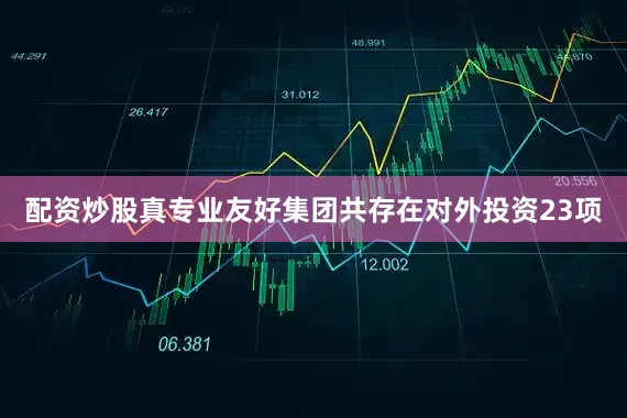配资炒股真专业友好集团共存在对外投资23项